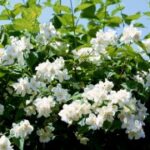 胜天国际:在多元文化中寻找商业灵感 btplch48