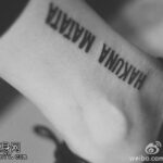 赏金国际平台的参与者心得与经验分享 cmujr8uwtb