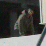 赏金国际官网的使用技巧与经验分享 da6xpnd