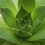 赏金国际的成功秘诀:顶尖赏金猎人的经验分享 edks86npyb