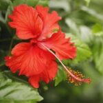 赏金国际官网的客户服务:如何获取帮助 g6vz2fqa6h