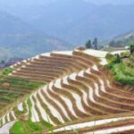 赏金国际的培训与教育:提升猎人能力的途径 i8qow2obg