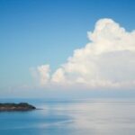 赏金国际的成功案例:那些令人瞩目的追捕故事 iwi8bcd5v