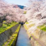 胜天国际:国际市场调研的关键方法 jsxl82fud