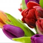 赏金国际娱乐:新手玩家的入门指南与建议 y1ph1fgi